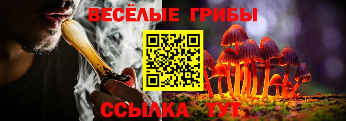 Псилоцибиновые грибы Cubensis  Вход с VPN  Псилоцибиновые грибы Cubensis  Прохладный 